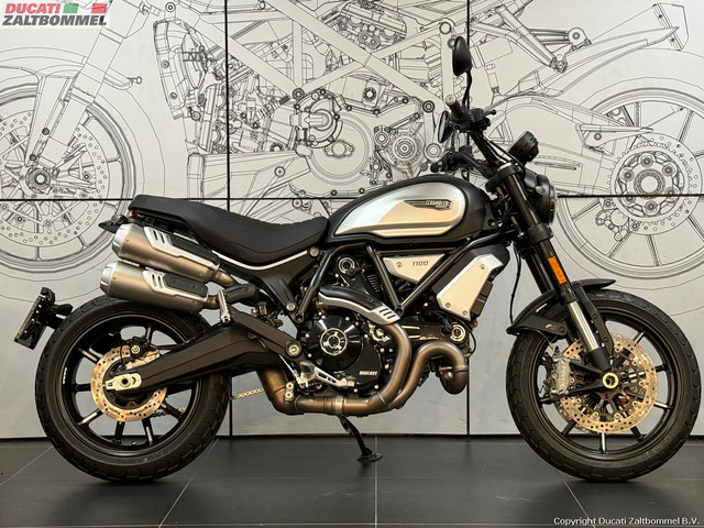 Ducati SCRAMBLER 1100 Ducati SCRAMBLER 1100