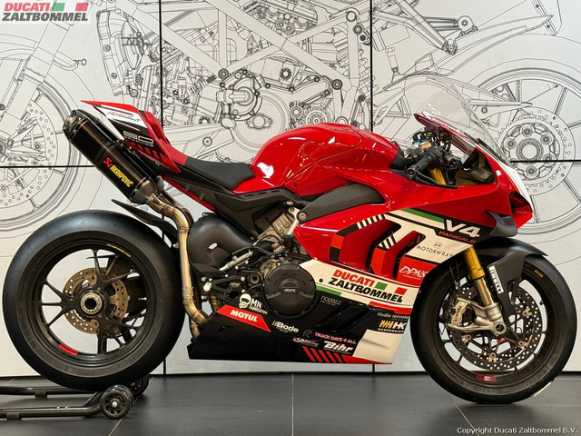 Ducati PANIGALE V4 S CIRCUIT Ducati PANIGALE V4 S CIRCUIT